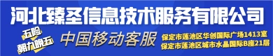 河北臻圣信息技术服务有限公司